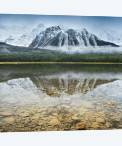 Waterfowl Lake I