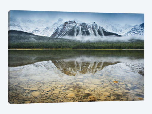 Waterfowl Lake I