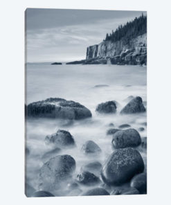 Acadia Coast