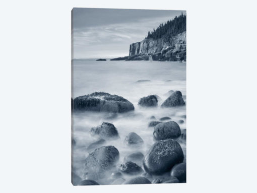 Acadia Coast