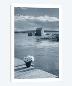 By The Sea III