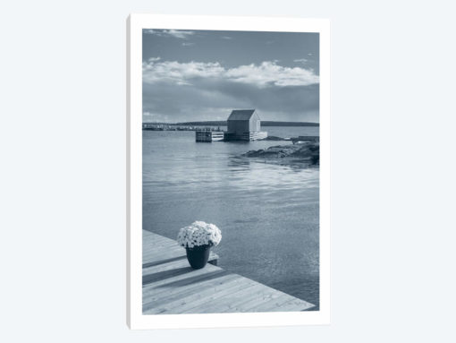 By The Sea III