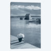 By The Sea III, No Border
