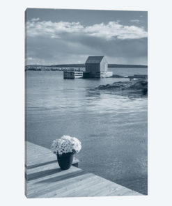 By The Sea III, No Border
