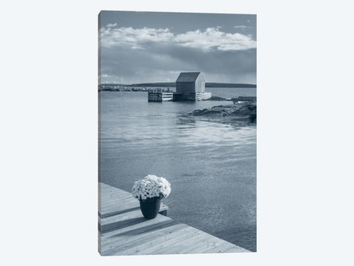 By The Sea III, No Border