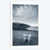 By The Sea IV