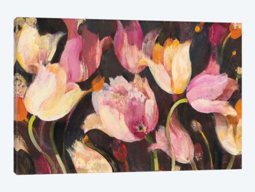 Popping Tulips