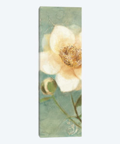 Pretty Peony