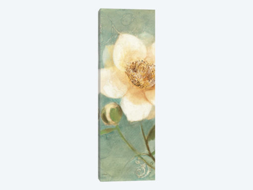 Pretty Peony