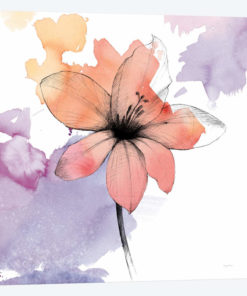 Watercolor Graphite Flower II