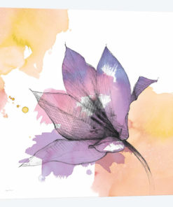 Watercolor Graphite Flower IX