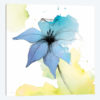 Watercolor Graphite Flower V