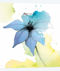 Watercolor Graphite Flower V