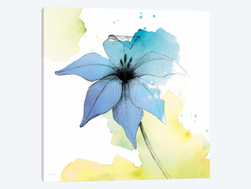 Watercolor Graphite Flower V