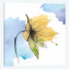 Watercolor Graphite Flower VIII