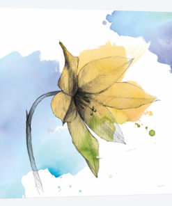 Watercolor Graphite Flower VIII