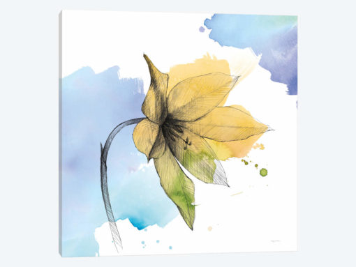 Watercolor Graphite Flower VIII