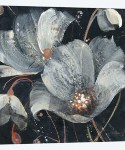 Translucent Poppies