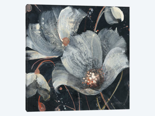 Translucent Poppies