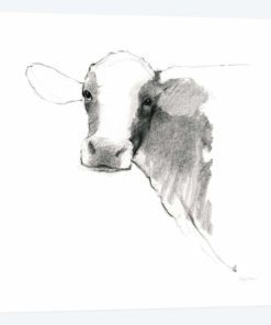 Cow II Dark Square