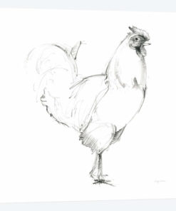Rooster II Dark Square