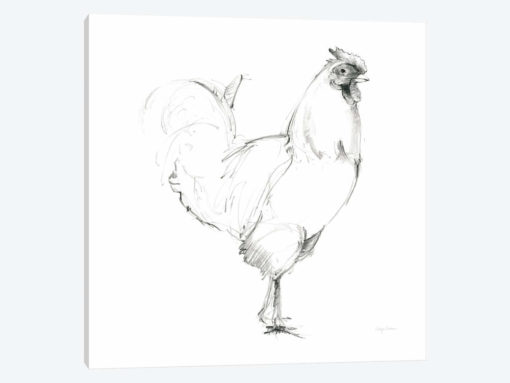Rooster II Dark Square