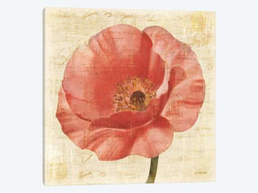 Blushing Poppy on Cream