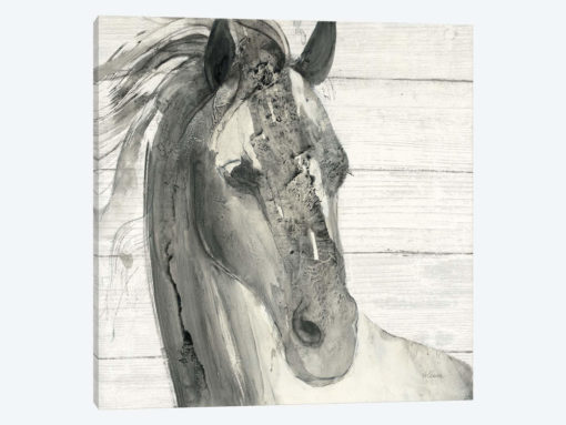 In The Wind I Shiplap