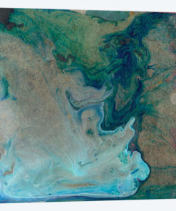 Barrier Island I