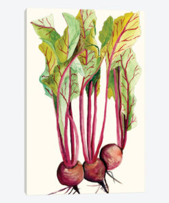 Early Harvest II