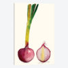 Early Harvest IV
