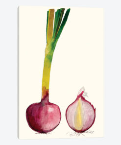 Early Harvest IV