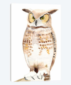 Hoo Dis I
