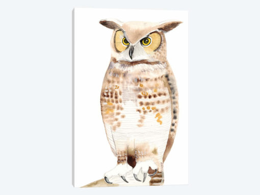 Hoo Dis I