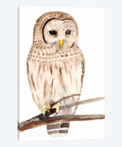 Hoo Dis III