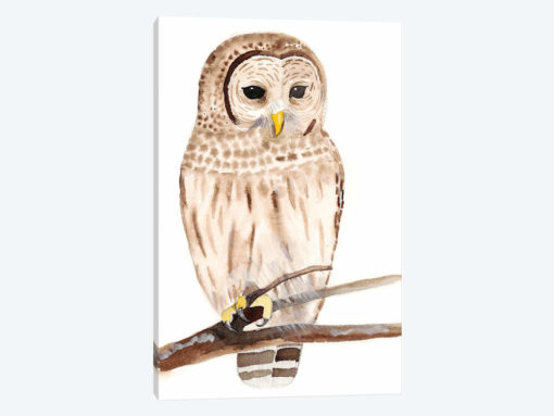 Hoo Dis III