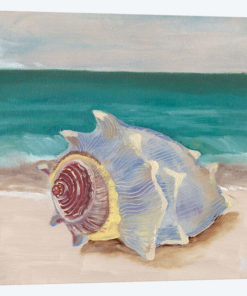 She Sells Seashells I