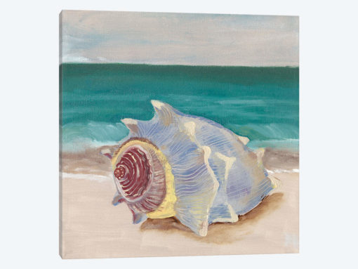 She Sells Seashells I