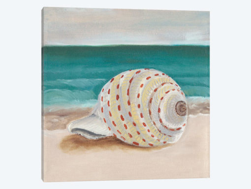 She Sells Seashells II