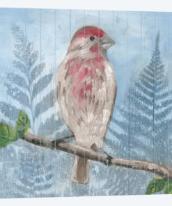 Eastern Songbird I