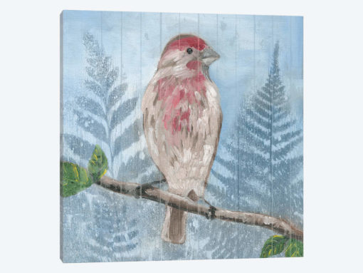 Eastern Songbird I
