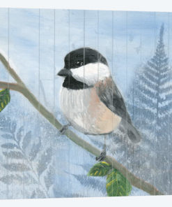 Eastern Songbird II