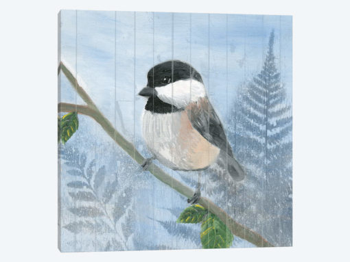 Eastern Songbird II