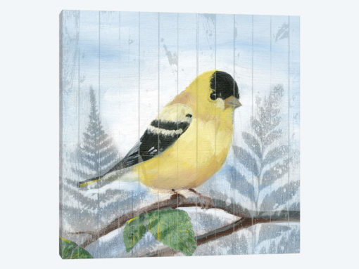 Eastern Songbird III
