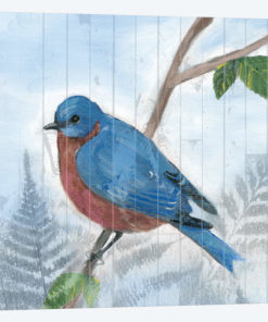 Eastern Songbird IV