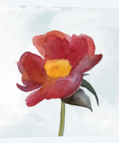 Joyful Peony I