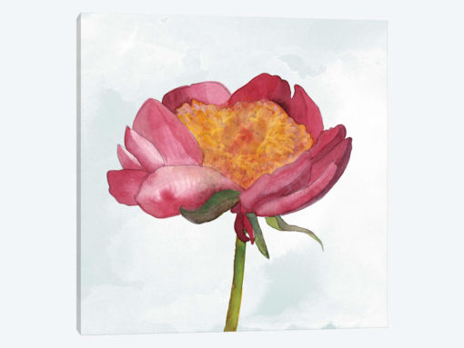 Joyful Peony II