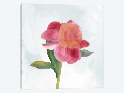 Joyful Peony III
