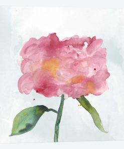 Joyful Peony IV