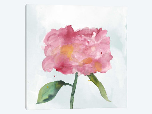Joyful Peony IV